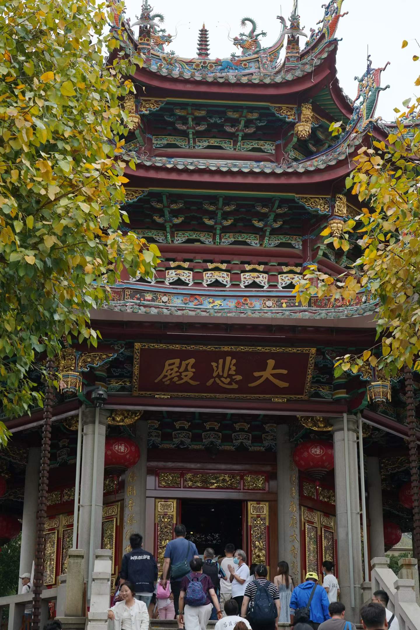 城市 11
